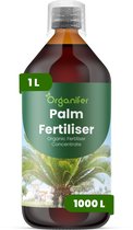Vloeibare Meststof Voor Palm 1 L Voor 1000 L - Npk 2-1-8 - Versterkt Palmbladeren Met Verbeterde Kleur, Glans En Bladtextuur - Ondersteunt Opgaande, Sterke En Goed Gestructureerde Palmgroei - Verbetert De Langetermijnvitaliteit - Organifer
