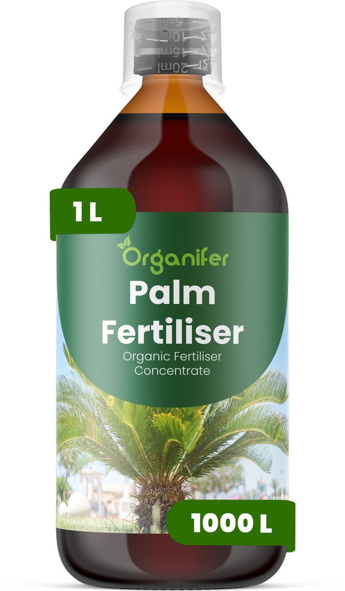 Vloeibare Meststof Voor Palm 1 L Voor 1000 L - Npk 2-1-8 - Versterkt Palmbladeren Met Verbeterde Kleur, Glans En Bladtextuur - Ondersteunt Opgaande, Sterke En Goed Gestructureerde Palmgroei - Verbetert De Langetermijnvitaliteit - Organifer
