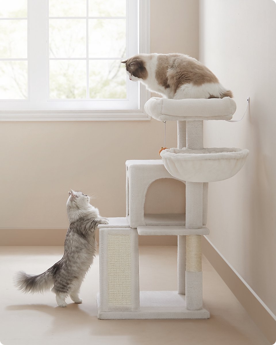 Feandrea - Krabpaal - Kattenboom - Voor Katten - Groot Platform - Stevig en Comfortabel – foto 5