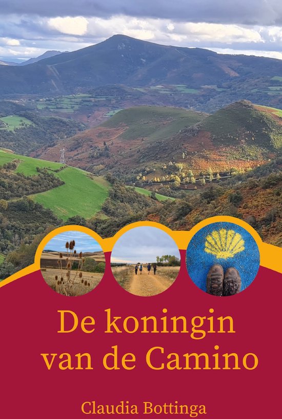 De Koningin van de Camino - cover