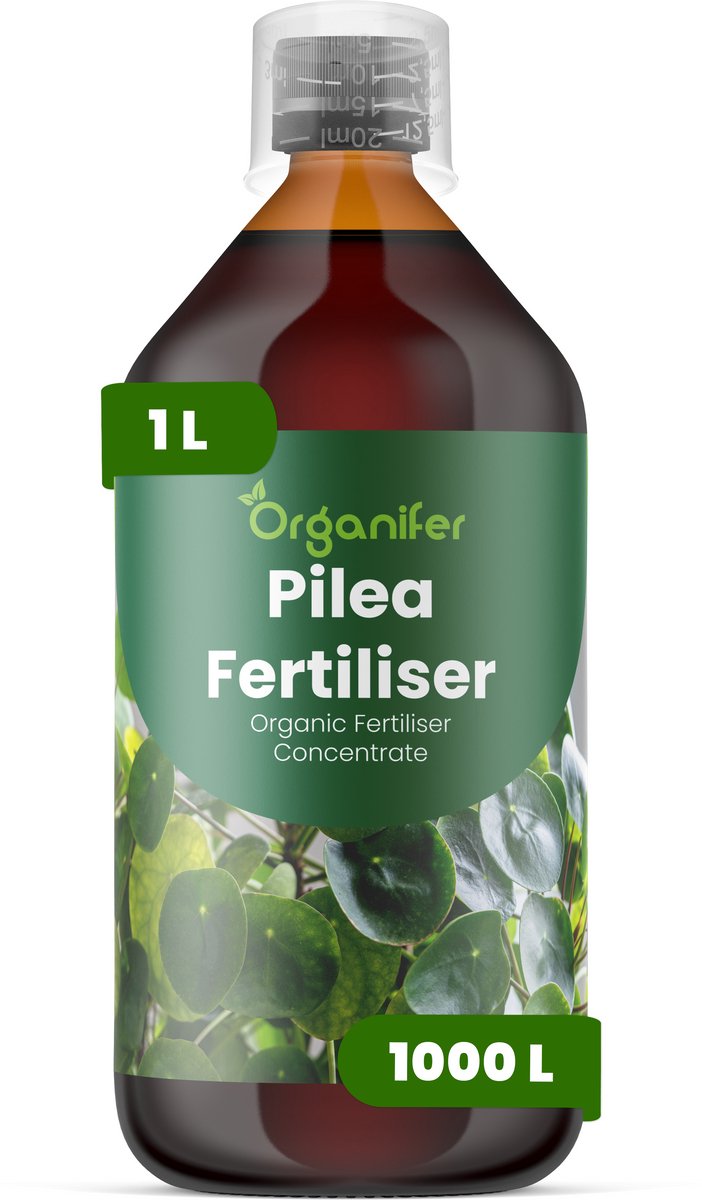 Vloeibare Meststof Voor Pilea 1 L Voor 1000 L - Npk 3-4-3 - Ondersteunt Compacte - Evenwichtige Groei Bij Pilea - Verbetert Bladkleur - Bladdichtheid En De Algehele Visuele Kwaliteit - Stimuleert Langdurige Plantvitaliteit En Stabiliteit - Orgamifer