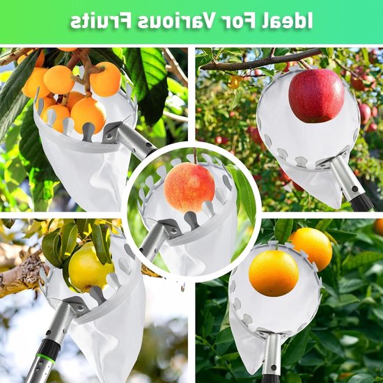 Fruitplukker met telescoopsteel van roestvrij staal en katoenen tas, ideaal voor het plukken van appels, peren en citrusvruchten. — afbeelding 4