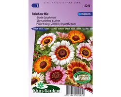 Sluis Garden - Margriet Rainbow Mixed (Bonte Ganzebloem)