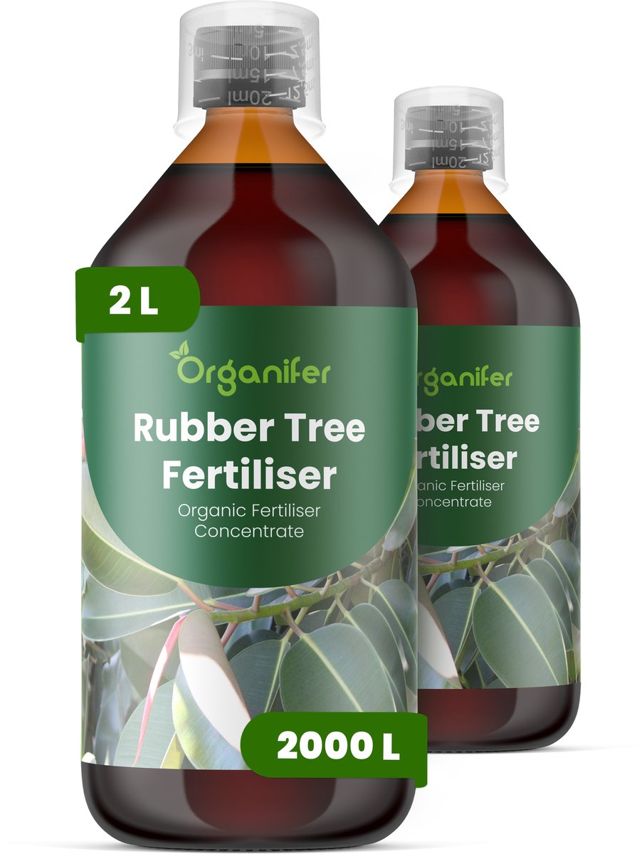 Vloeibare Meststof Voor Rubberboom 2X1 L Voor 2000 L - Npk 2-1-8 - Ondersteunt Sterk Glanzend Blad Bij Rubberbomen - Verbetert Bladdikte En Diepgroene Bladkleur - Geschikt Voor Langdurige Verzorging Van Kamer- En Kantoorplanten - Organifer