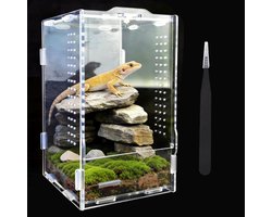 Acrylaat Terrarium 360° voor Reptielen, 20 x 12 x 12 cm, Inclusief Tangen en Thermometer, Ademend en Transparant voor Spinnen en Hagedissen