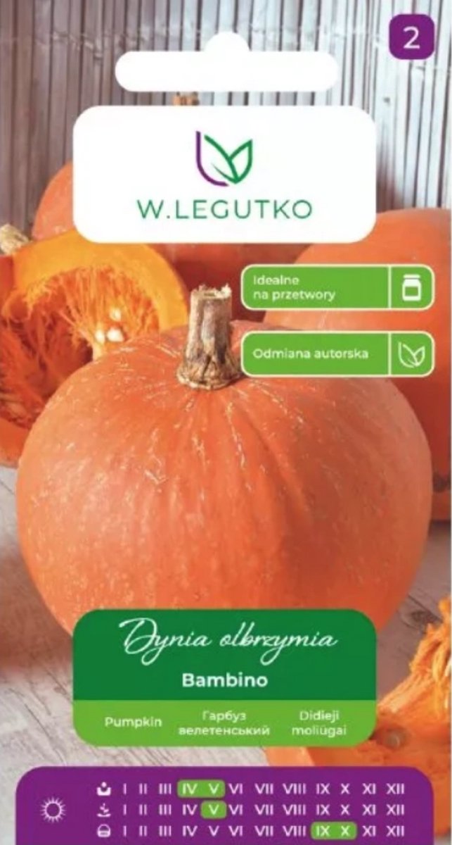 W.Legutko - Reuzenpompoen Bambino – oranje, vruchtgewicht ca. 15 kg