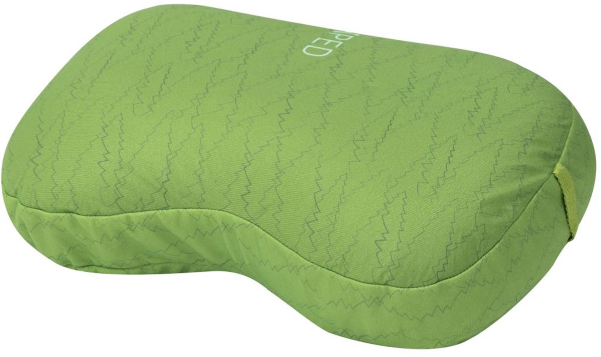 Down Pillow Kussen