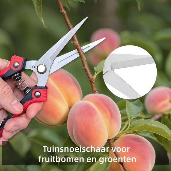 1 stuk - Snoeischaren - RVS Fruitschaar - Snoeischaar - Puntige Snoeischaar voor het Kweken van Fruit, Groente en Bloemen - Scherpe Tuinschaar met Antislip Handgreep — afbeelding 2