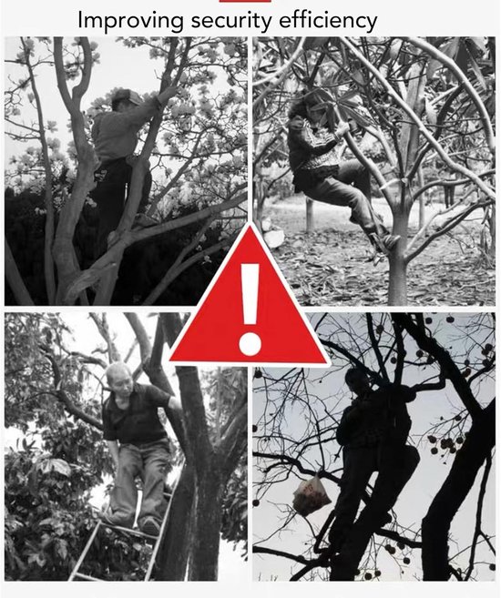 Fruitplukker met mand - Fruitvanger lange steel - Fruit uit boom halen - Telescopische paal - Uitschuifbaar - Zilverkleurig — afbeelding 5