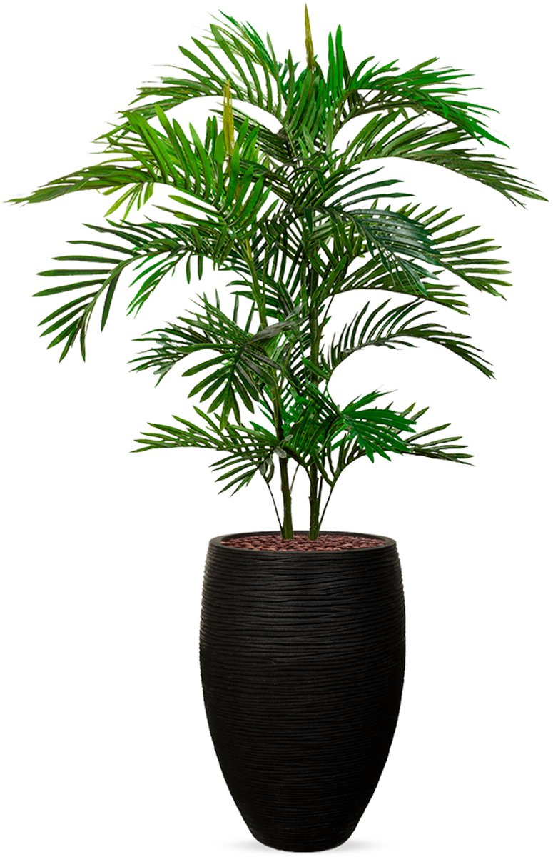 HTT Decorations Kunstplant Arecapalm in Vaas elegant Deluxe rib zwart H160 cm