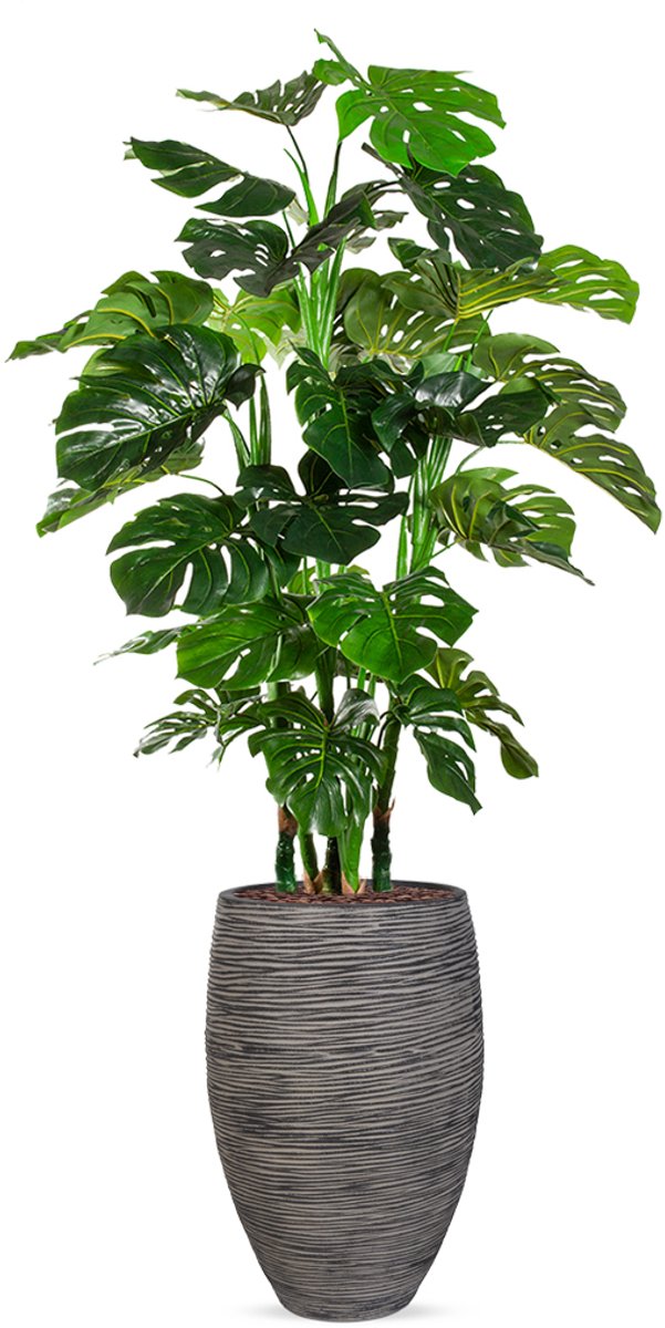 HTT Decorations Kunstplant Monstera XL in Vaas elegant Deluxe rib antraciet H180 cm