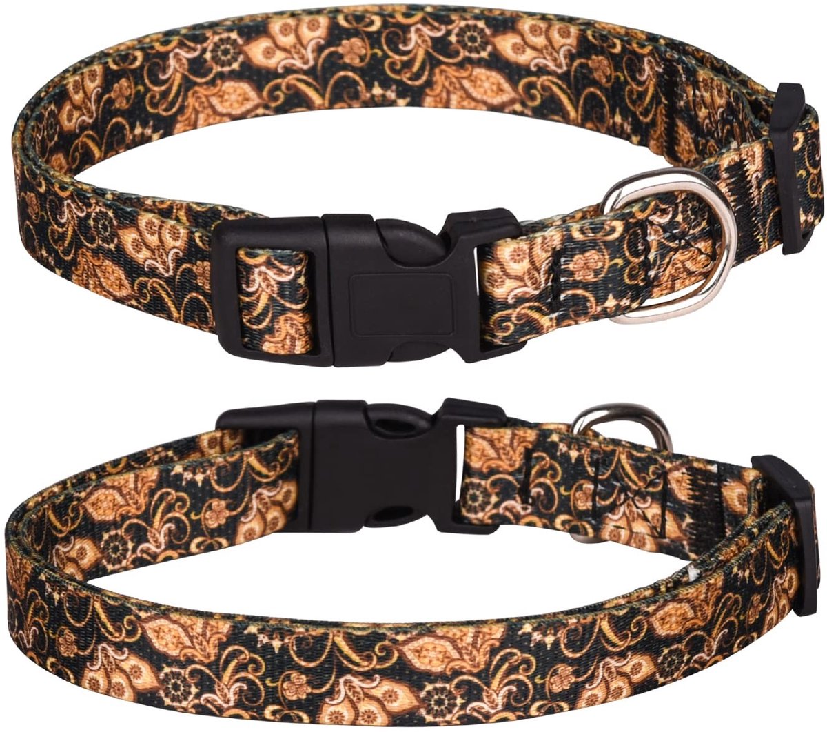 JHUBERS- Halsband Zacht Verstelbaar - Hondenhalsband - Duurzaam Polyester - Fancy Bloemen - Maat L 38-61 cm - Geschikt voor Kleine/Middelgrote/Honden - Hondentuig