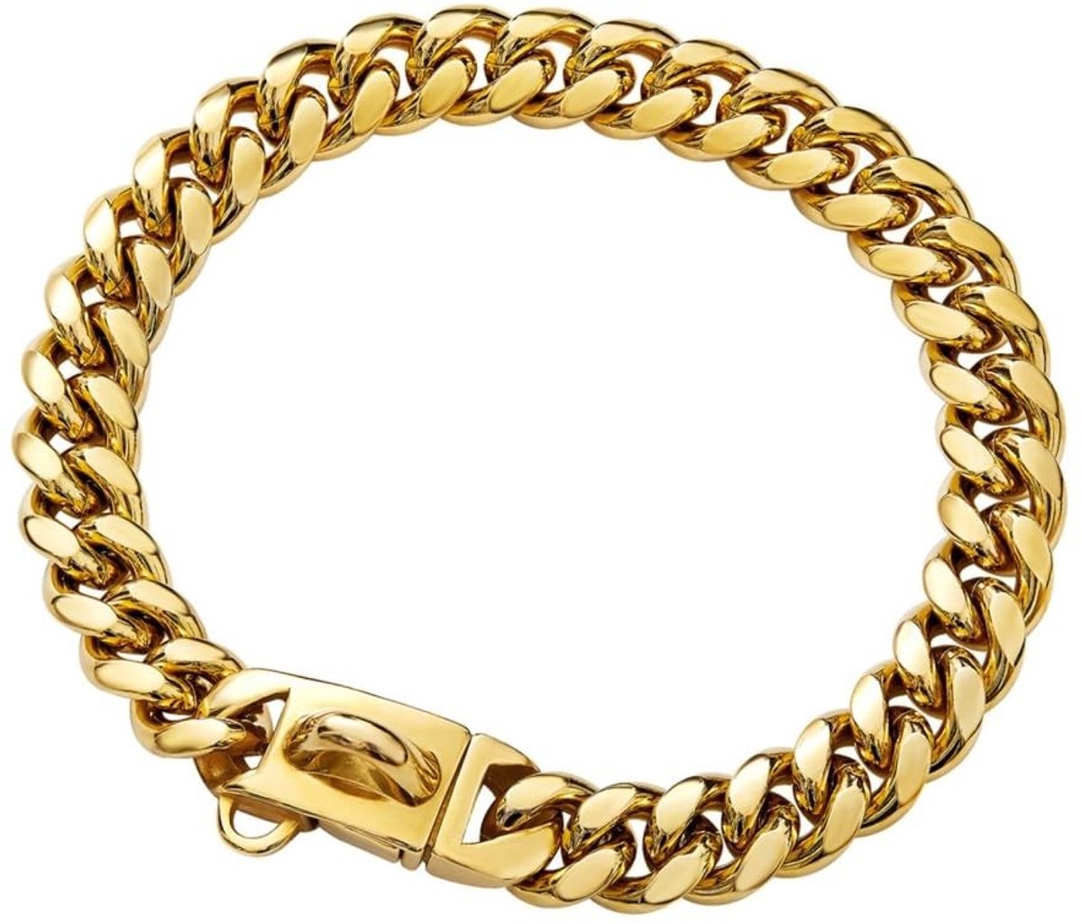 Dailygoods- Hondenhalsband Roestvrij Staal - Hondenhalsband Goud - Hondenhalsband Zwart - Hondenhalsband 26/31/36/41/46 cm - Hondenaccessoire - Duurzaam en Sterk - Hondentuig