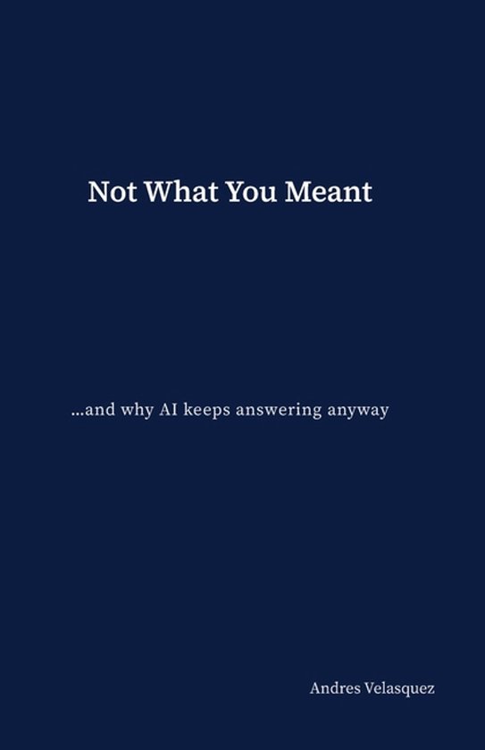 Not What You Meant - cover