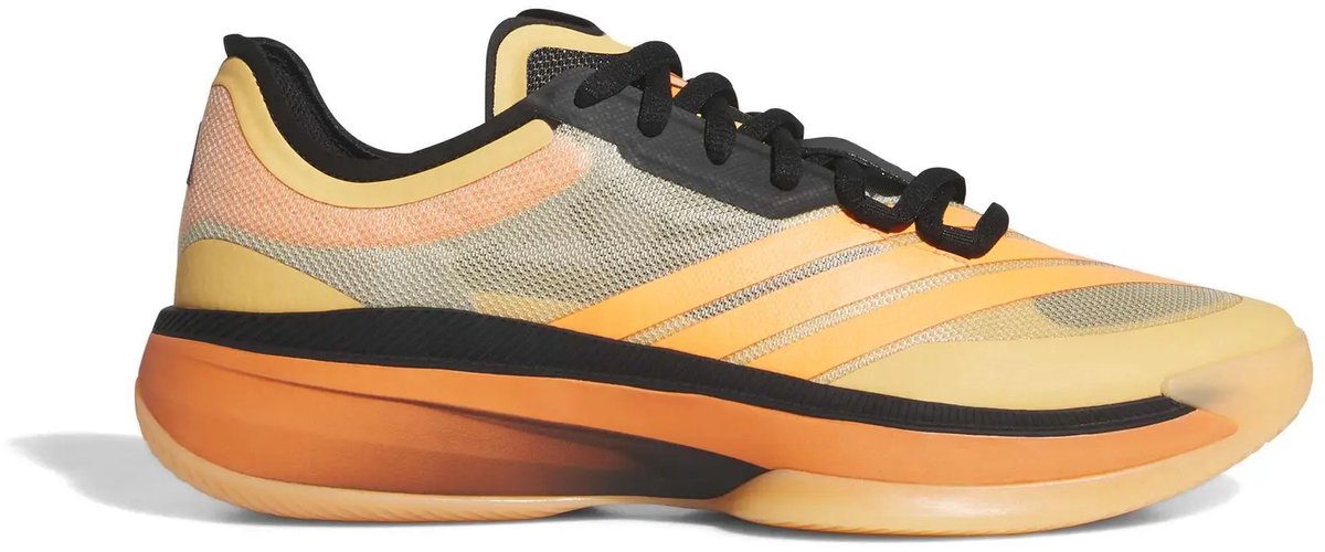 Basketbalschoenen adidas Adizero Select 2.0 Oranje