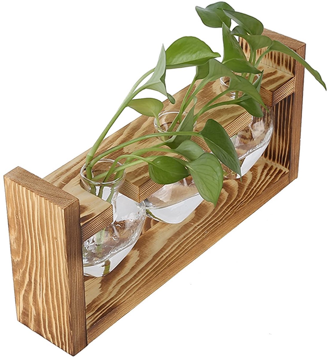 Dailygoods- Plantenterrarium Hartvormig - Bloemenvaas Borosilicaatglas - Houten Standaard - Hydrocultuurplanten - Bureaudecoratie - 1/2/3 Glazen Flessen