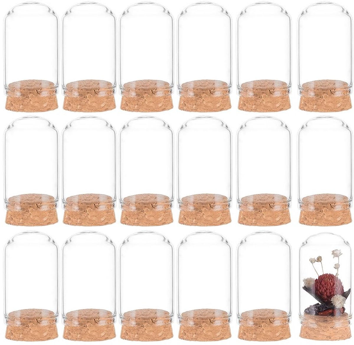 Dailygoods- Glazen Potten 30 Stuks - 20ml Flessen - Decoratieve Cloche met Kurk - Voor Feestjes - Kunstprojecten - Home Decoratie - Decoratieflesjes