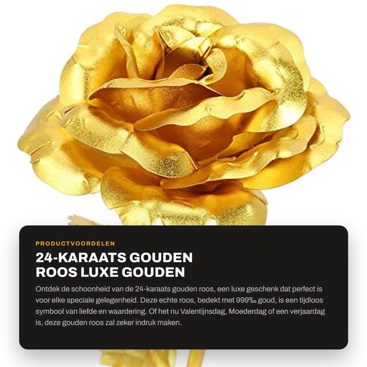 Dailygoods- Gouden Roos 24-karaats - Luxe Roos - Eeuwige Roos - Cadeau voor Valentijnsdag 