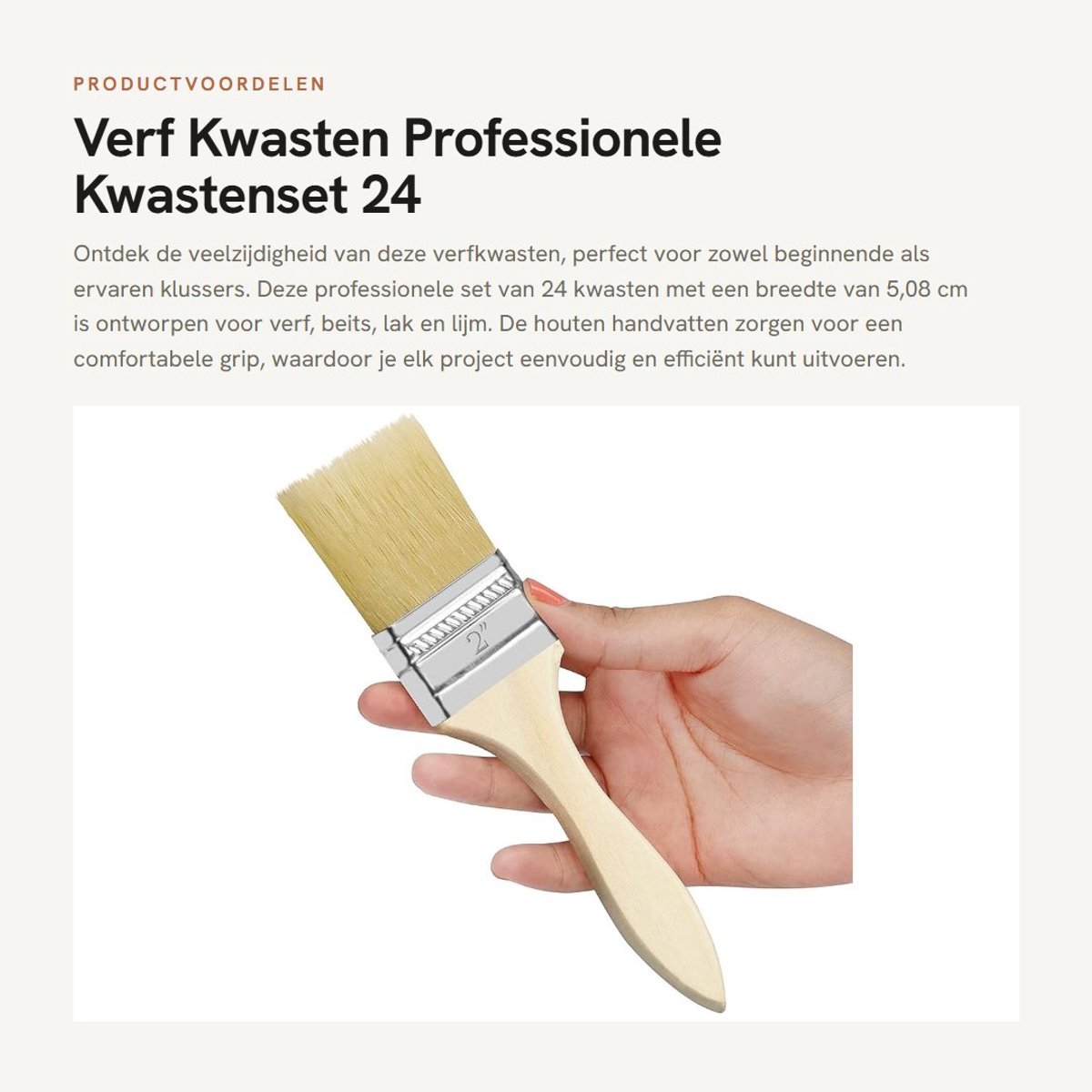 Dailygoods- Verfkwasten Set 24 Stuks - Professioneel Houten Handvat - 20cm Lengte - 5,08cm Breedte - Voor Verf/Lijm - Betrouwbare Gereedschappen - Schilderkwasten