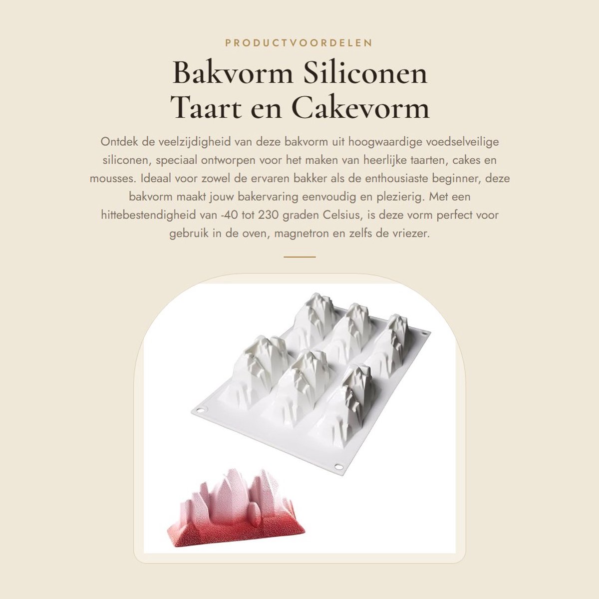 Dailygoods- Siliconen Bakvorm - Hittebestendig tot 230°C - Bakvorm Taart/Cake - Antiaanbaklaag - Vaatwasserbestendig - Afmetingen 29,5x17,5x6 cm