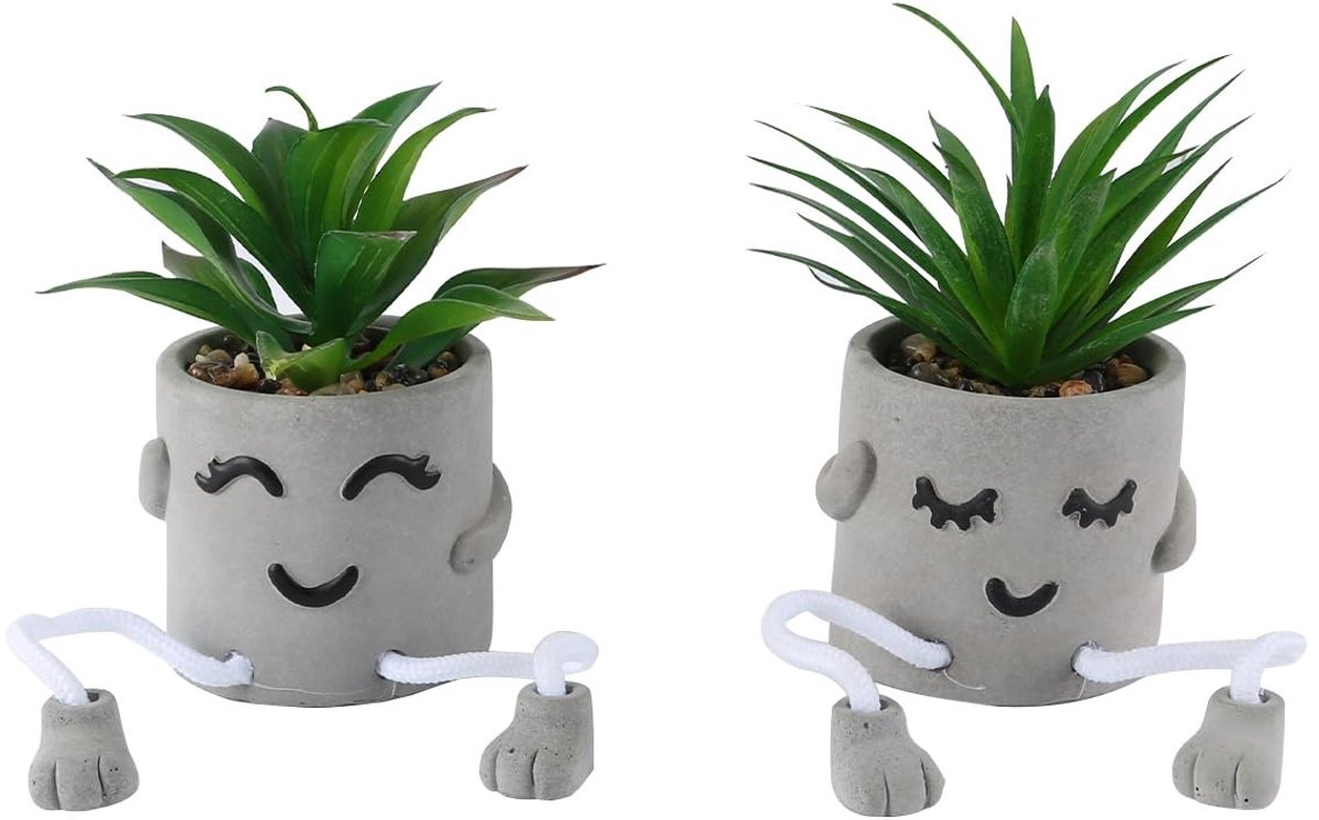 Dailygoods - Set van 2 Mini Cementen Potten met Kunstmatige Vetplanten
