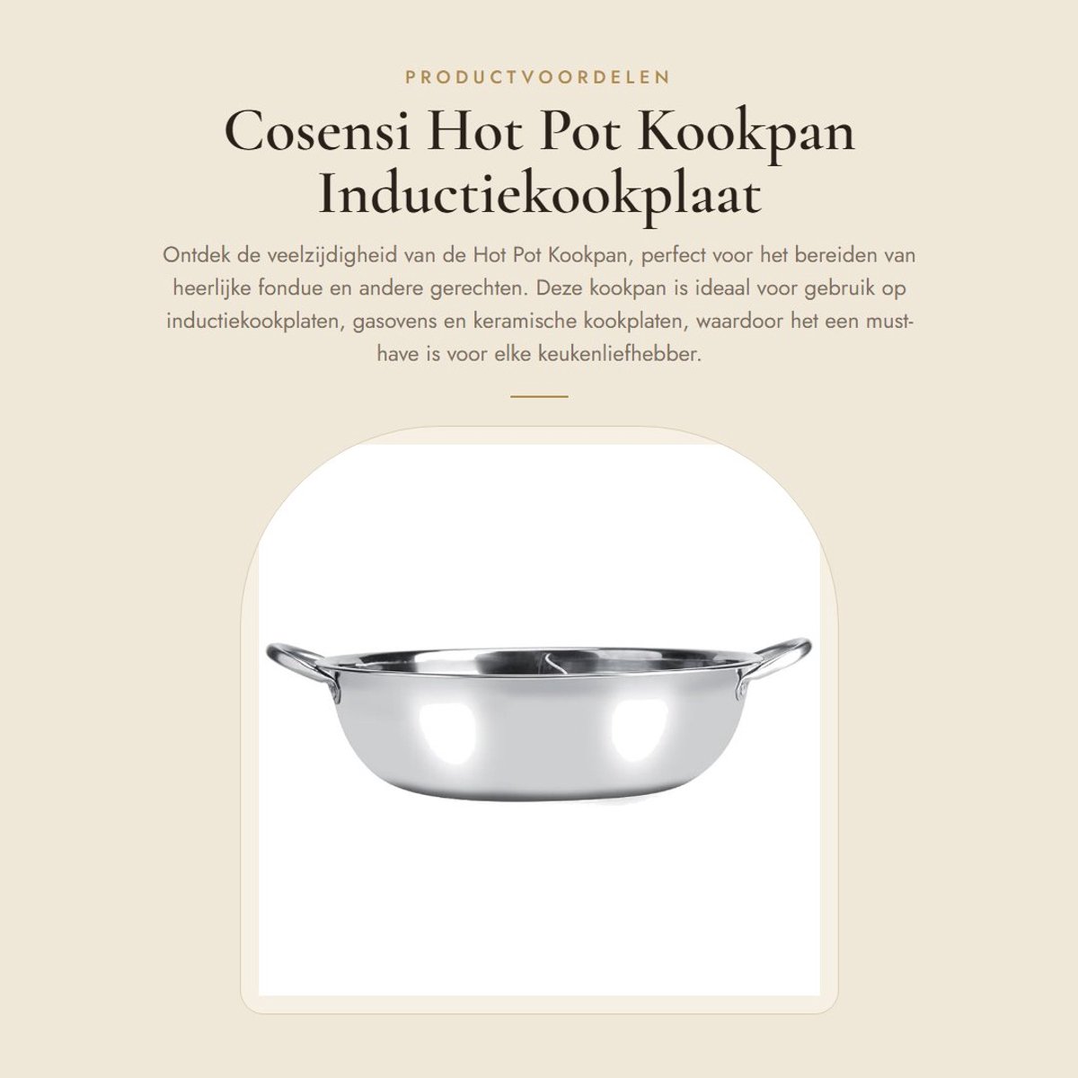 Dailygoods- Hot Pot Kookpan 27 cm - Elektrische Fonduepan - Roestvrij Staal - Antiaanbaklaag - Duurzaam en Lichtgewicht - Geschikt voor Inductie en Gasoven