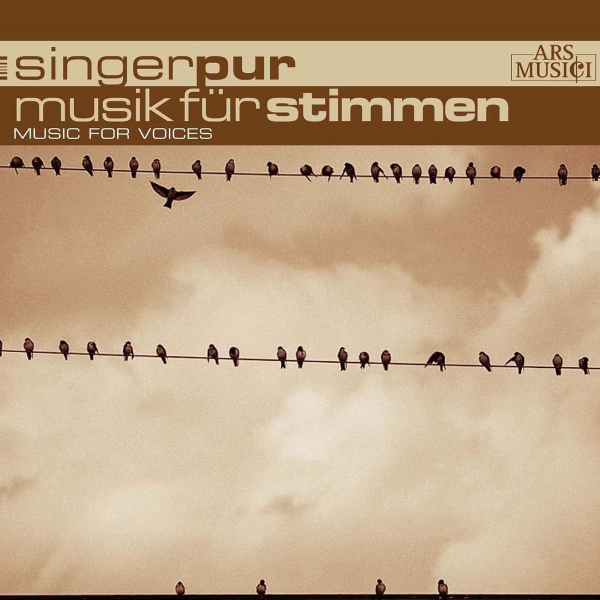Muziek CD - Vocal muziek - Luisteren thuis - Fysieke drager - 1 schijf - Niet gespecificeerd