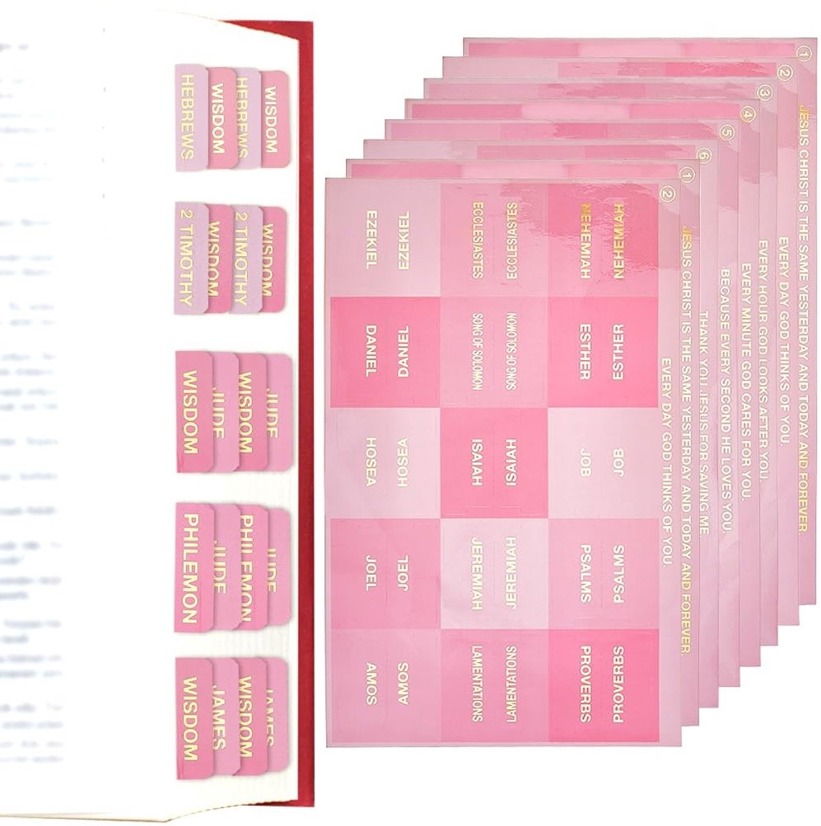 Dailygoods- Bijbelregister 12 Vellen - Gelamineerde Bijbeltabs - Index/Tabblad - Marker Stickers - Notitieblok - Hoogwaardig PP-Materiaal - Bijbelstickers