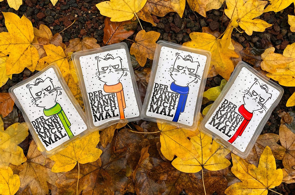 Dailygoods- Handwarmers Oplaadbaar - Herbruikbare Warmtezakjes - Warmtepads - Set van 4 - Zachte Hoes van 100% Kunststof - Warmte tot 55 Graden