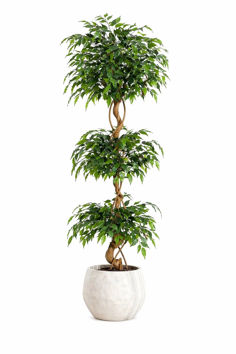 Sello! kunstplant – realistische design – luxe uitstraling – levensecht – voor binnen en buiten – naar wens te vormen – onderhoudsvrij – inclusief pot – meer dan 1449 bladeren – 180 cm. groen