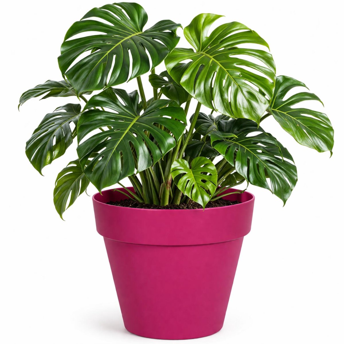 Mega Collections Plantenpot / bloempot - kunststof - fuchsia roze - binnen/buiten - D34 x H33 cm