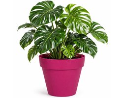 Mega Collections Plantenpot - kunststof - fuchsia roze - binnen/buiten - D34xH33 cm - bloempot