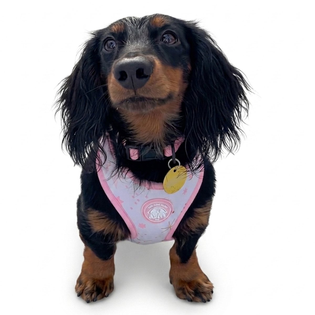 Hondentuigje - Hondenharnas - Y Tuig Hond - Roze - Sterren Print - Maat S - Kleine hond - The Dog Farm