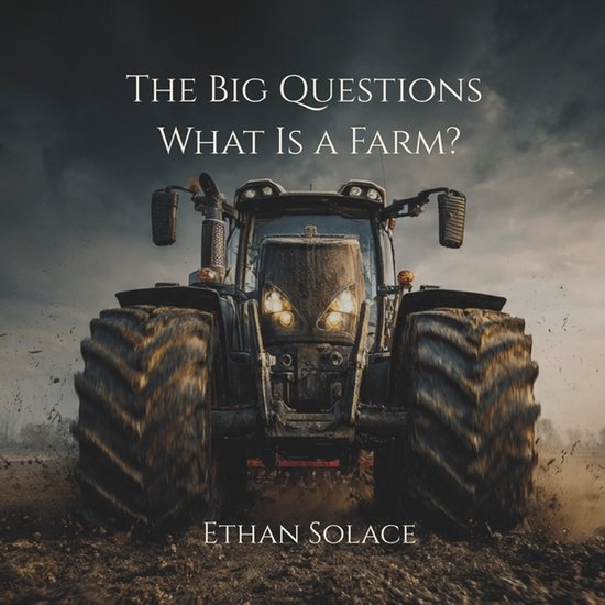 Big Questions-The Big Questions - cover