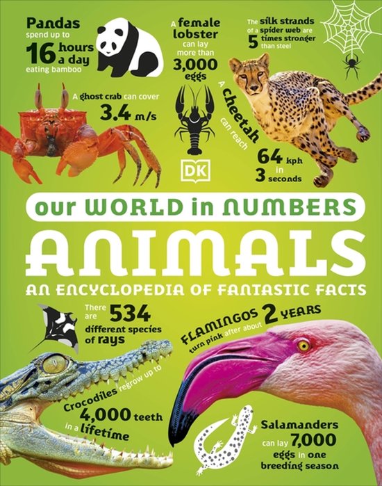 DK Our World in Numbers- Our World in Numbers Animals - cover