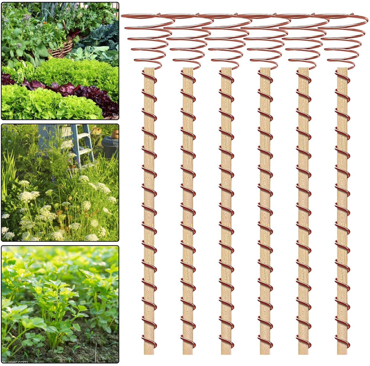 10 stuks Elektrocultuur Plantenstaken - 30 cm Koperen Antenne voor Elektrocultuur in de Tuin - Koperen Spoel voor Tuin - Koperdraadstaven voor Plantengroei - Accessoires voor Plantenvoeding