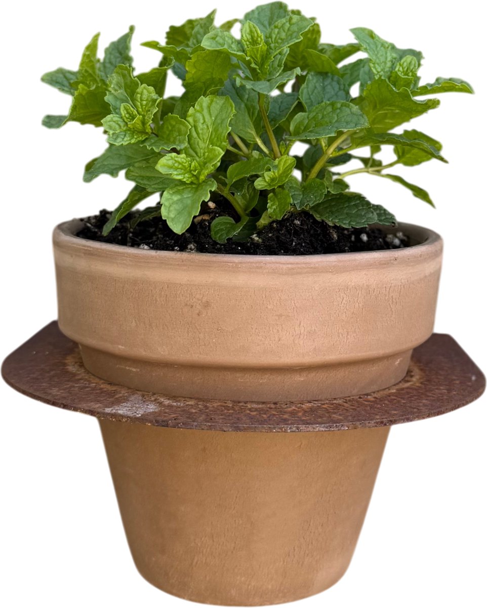 Bloempot MURO - CORTENSTAAL / TERRACOTTA - Excl. PLANT