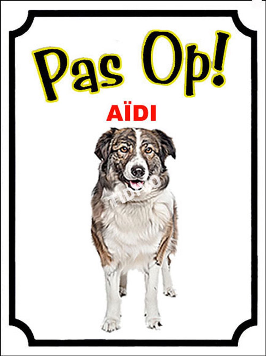 Aïdi 16