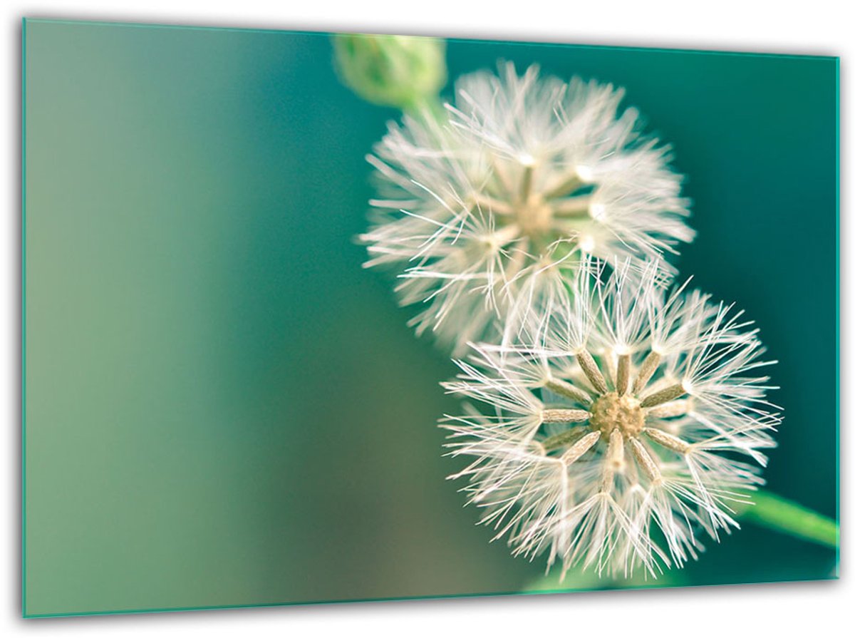 TMK ArtDeko - Snijplank - Gehard Glas - 30x22 cm - Bloemmotief