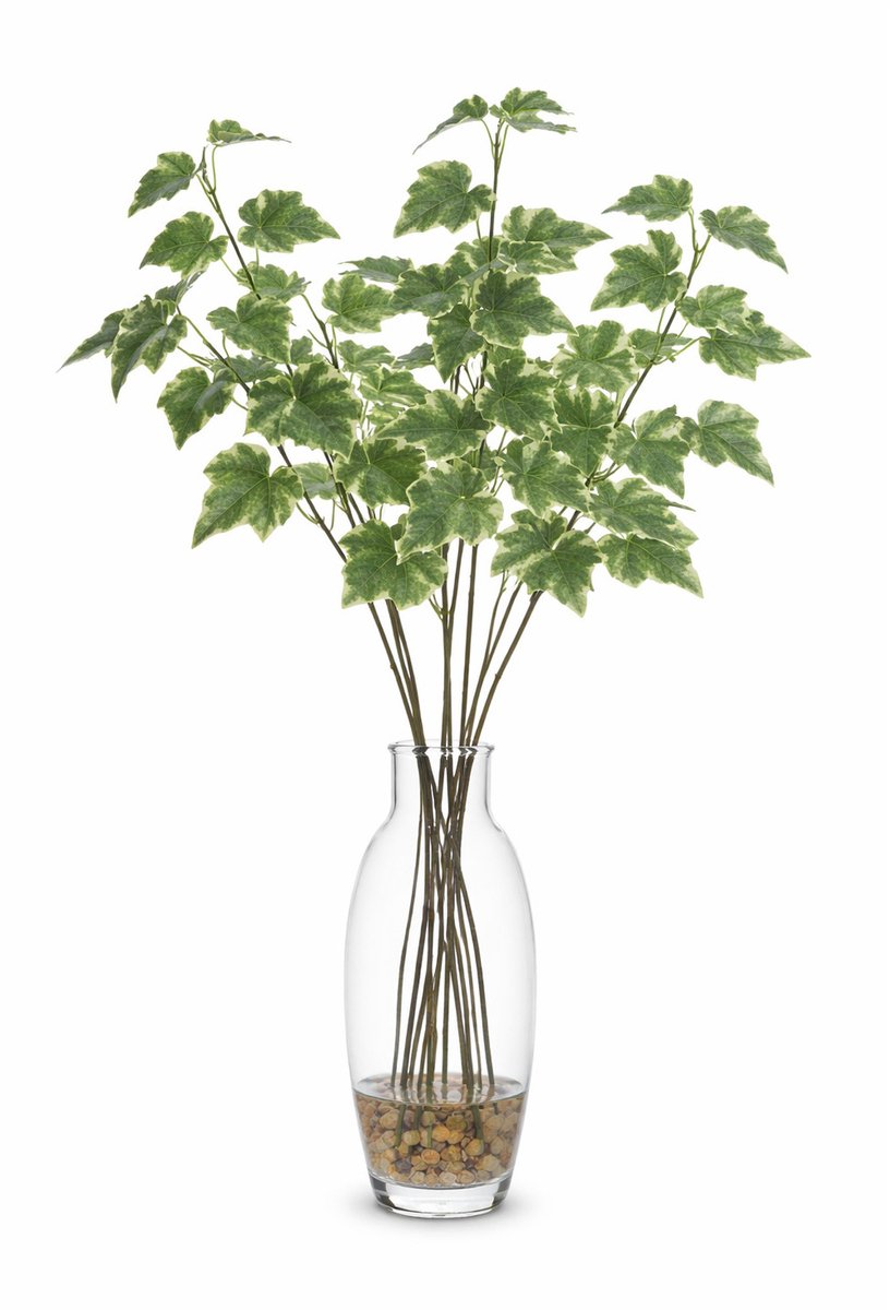 Bellatio Design Kunsttak / kunstbloem Hedera - 8x - 55 cm - lichtgroen - boeket opvulling bladlichtgroen