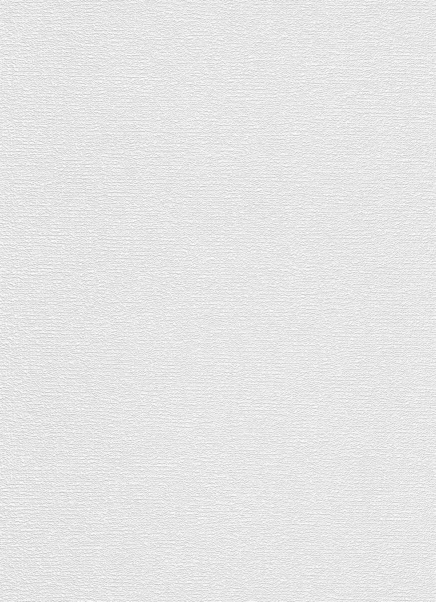 Erismann Vinylbehang 533110 - RollOver27 - Overschilderbaar Wit - 53cm x 10.05m