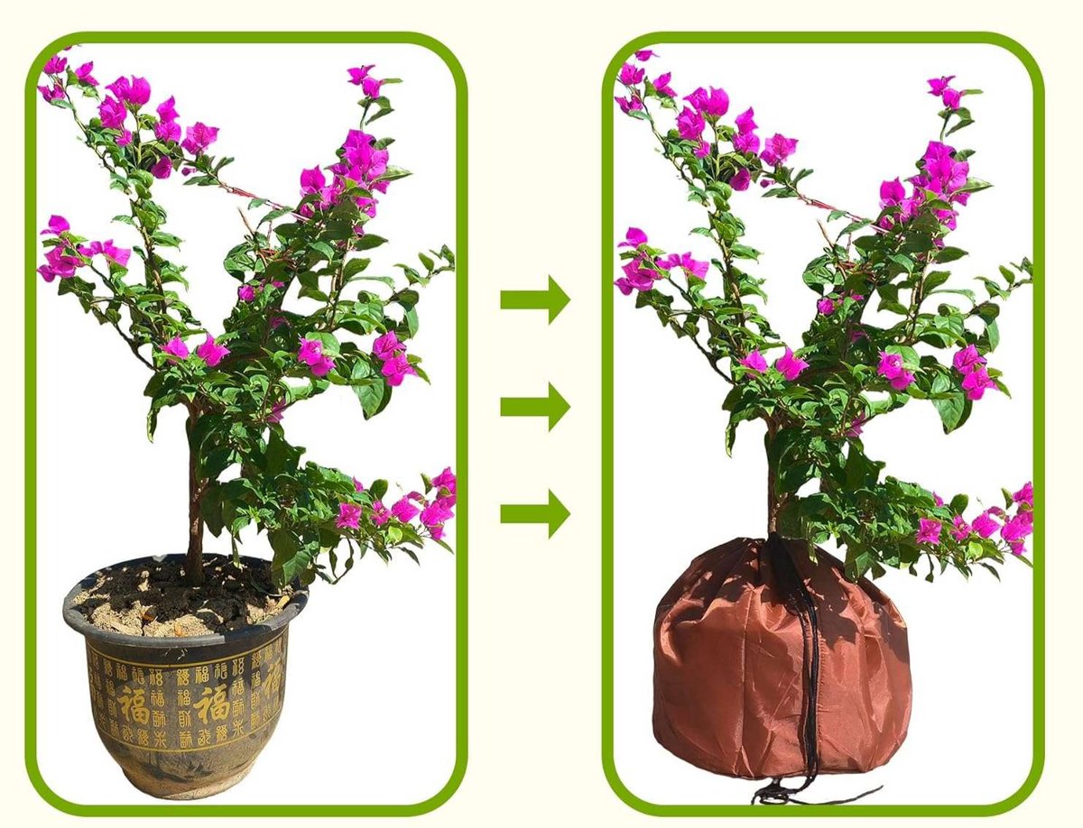 CE - Plantenbeschermhoes - 45x50cm - Thermische Isolatie - Rits en Koord