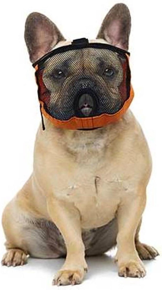 Honden Muilkorf - Snuitkorf Hond - Veilig Wandelen - Speciaal voor Platte Neuzen - Hoofdomtrek 38-50cm - Zwart