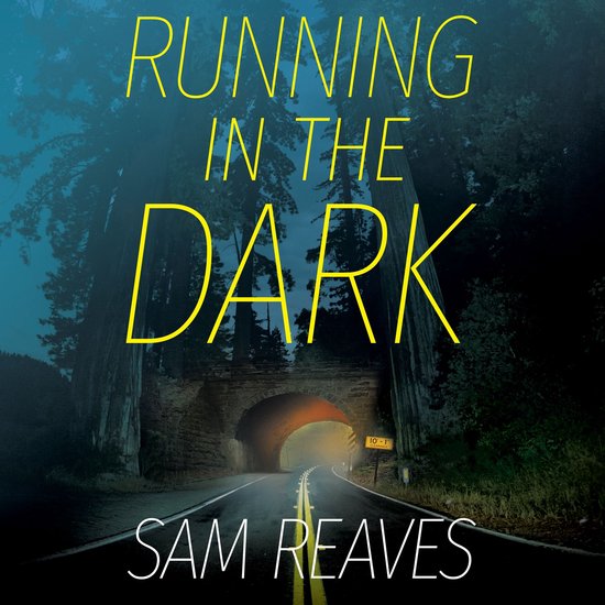 Running in the Dark - cover