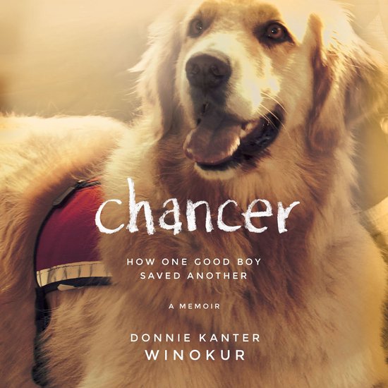 Chancer - cover