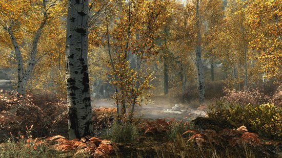 Skyrim - Nintendo Switch