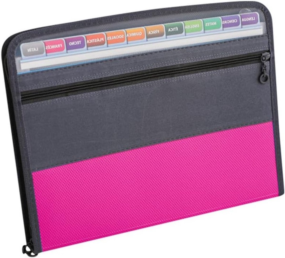 Uitbreidbare Bestandsorganizer met 13 Vakken, Mini Accordeon Map voor Documenten, Ideaal voor Opslag van Ontvangsten en Facturen, Formaat 10 x 5 Inch (Roze)