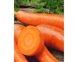 2 sets - Wortelen Chantenay Zaden Daucus Carota Eenjarig
