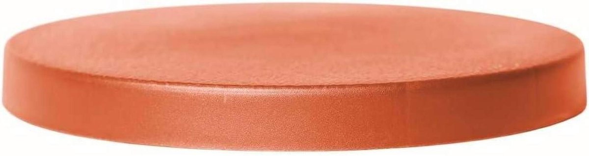 Plantentrolley - Bloempot verplaatser - Planten verplaatsen - Vier draaibare wielen - 29 x 29 cm - Terracotta