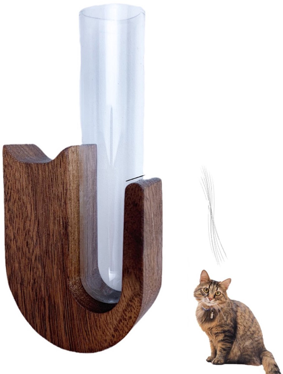 Mini Vaasjes - Met Koelkastmagneet - Katten Snorhaarvaasje - Magnetische Muurvaasjes - Pla